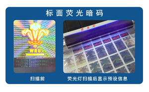化学蜜桃网站放大片